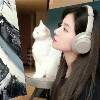 奔月